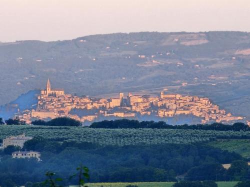 Ingrandimento di Todi visto dalla casa